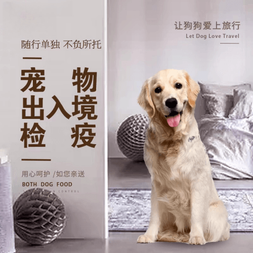 通州区宠物托运到哥伦比亚猫狗宠物入境规定和