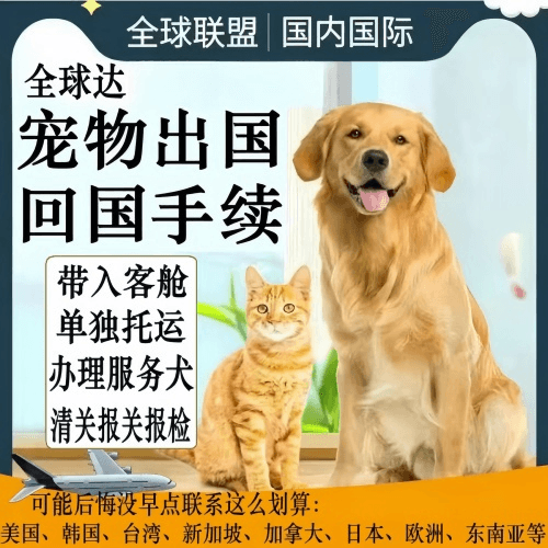 通州区宠物托运到柬埔寨宠物入境规定和要求