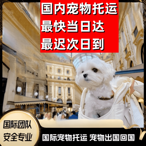 通州区到澳大利亚（澳洲）宠物入境规定和要求